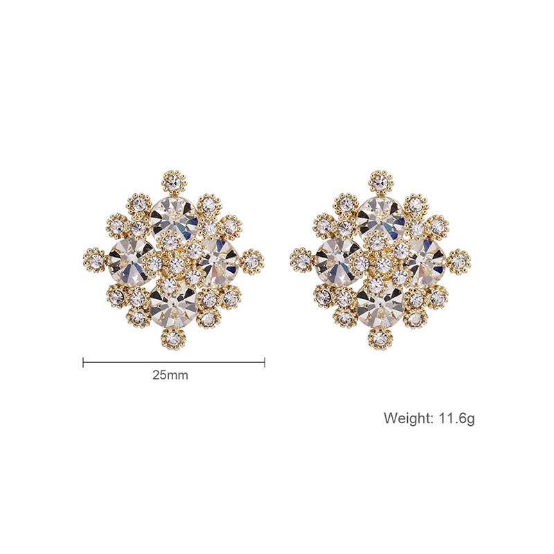 Korean Style Trendy Earrings – Niche Temperament Net Red Earrings